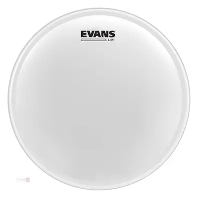 Evans 12" UV1 Coated