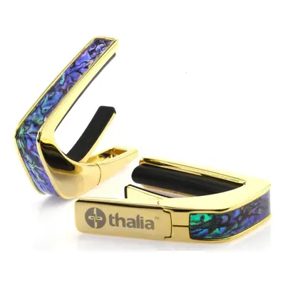 Thalia Shell Collection Blue Abalone Gold