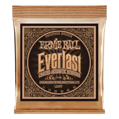 Ernie Ball 2548 Everlast Phosphor Bronze Light