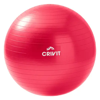 Crivit Gymnastický míč (55 cm)