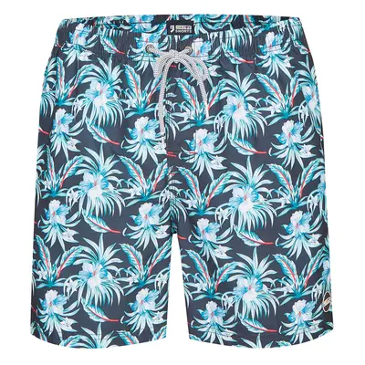 Happy Shorts Pánské koupací kraťasy (Hawaii, XL)