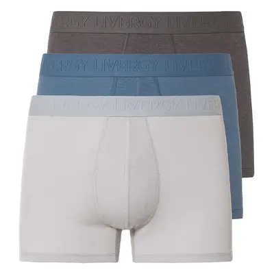 Livergy® Pánské boxerky, kusy (šedá / modrá / světle šedá , 6/L)