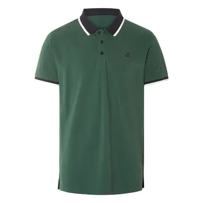 Livergy® Pánské polotriko „Slim Fit“ (M (48/50), zelená)