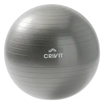 Crivit Gymnastický míč (65 cm)