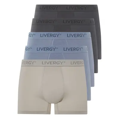 Livergy® Pánské boxerky, kusů (8/Xxl, šedá/modrá)