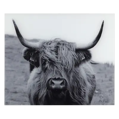 Wenko Ochranný skleněný panel, x cm (Highland Cattle)