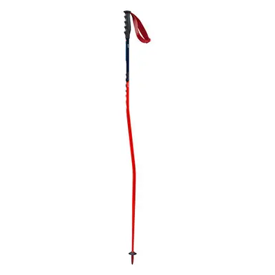 Swix sjezdové hole WC PRO DH FA115-00