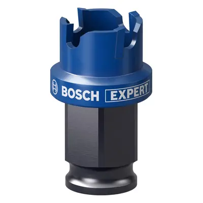 Děrovka Bosch EXPERT Sheet Metal 2608900493