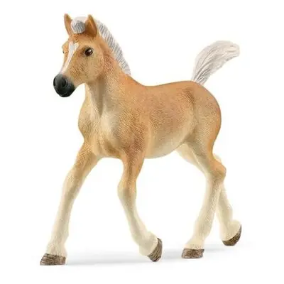 Schleich 13951 Haflingerské hříbě