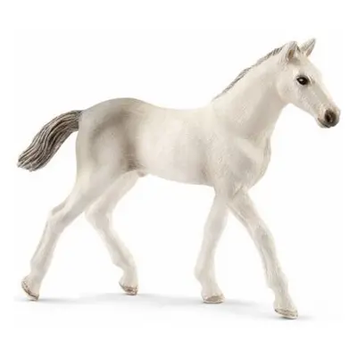 Schleich 13860 Holštýnské hříbě