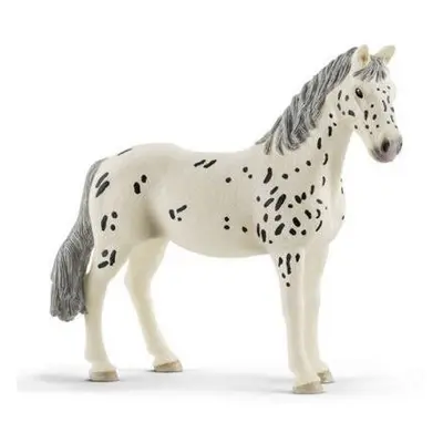 Schleich 13910 Klisna knabstrupperská