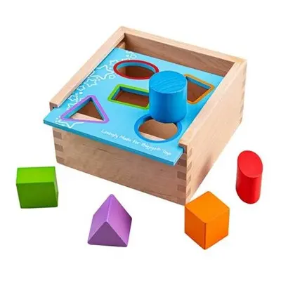 Bigjigs Toys Vkládací krabička s tvary