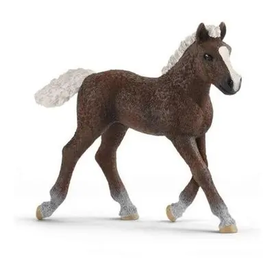 Schleich 13899 Hříbě Schwarzwaldské