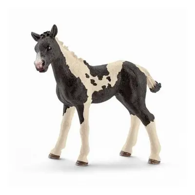 Schleich 13803 Hříbě Pinto