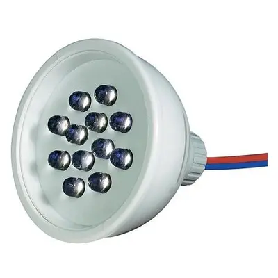 Signal Construct LED SPOT 50mm CERV. 12 LED 24V V AC IP67