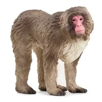 Schleich 14871 Zvířátko - makak červenolící