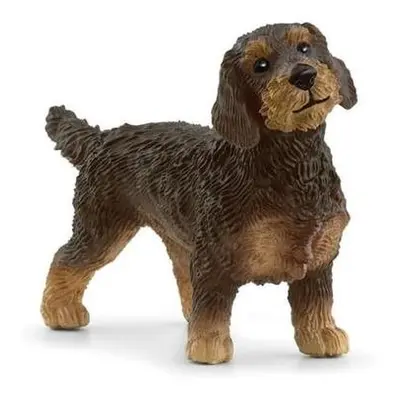 Schleich 13972 - hrubosrstý jezevčík