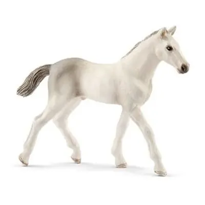 Schleich holštýnské hříbě