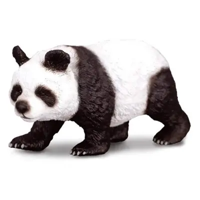 Panda velká