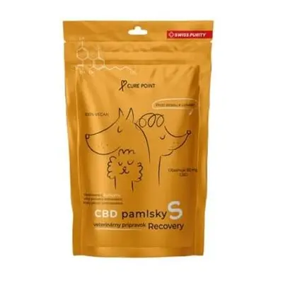 Cure Point CBD Recovery S Pamlsky pro psy 100 g