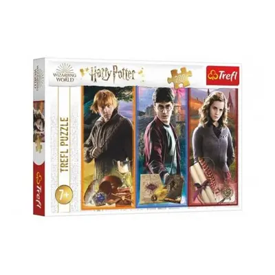 Puzzle Ve světě magie a čarodějnictví/Harry Potter 200 dílků