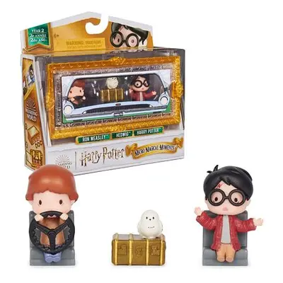 Harry Potter dvojbalení mini figurek Harry a Ron s doplňky