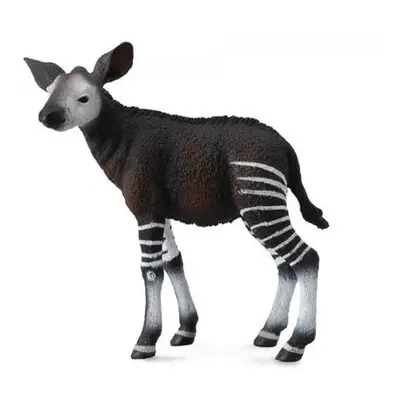 Okapi mládě