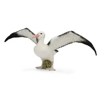 Collecta Albatros stěhovavý