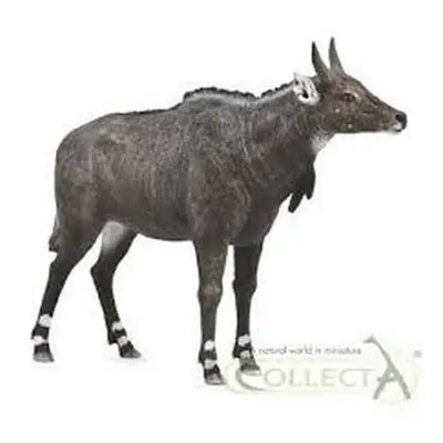 COLLECTA Nilgai