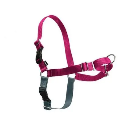 PetSafe® Postroj EasyWalk malinový L