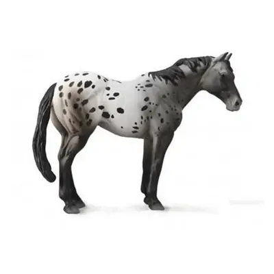 Collecta Appaloosa Blue grošák