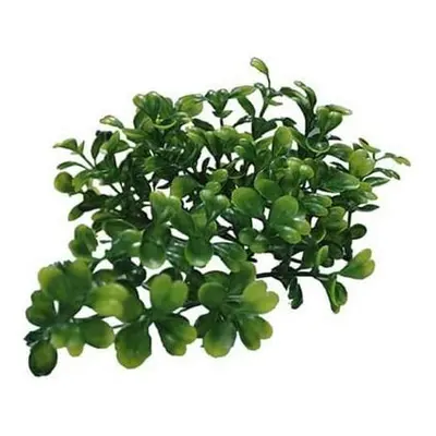 Lucky Reptile Turtle Plants Bacopa cca 40 cm