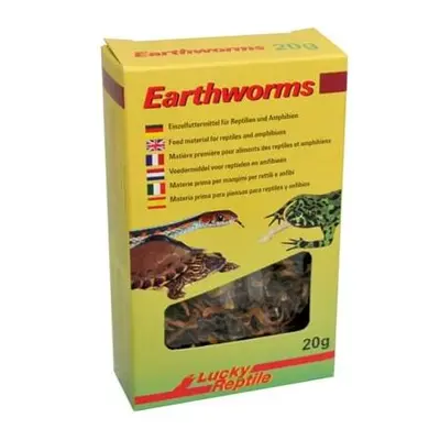 Lucky Reptile Earthworms 10g