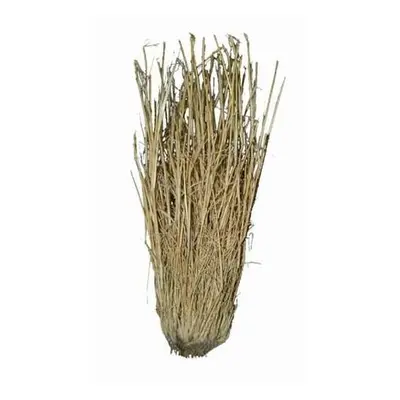 Lucky Reptile Grass Bushes 25-40 cm