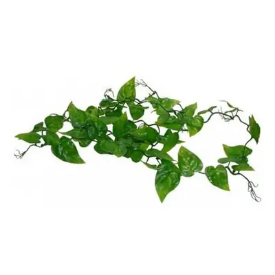 Lucky Reptile Jungle Vine Philo Vine cca 200 cm