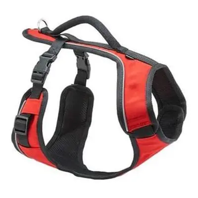 PetSafe® Postroj EasySport červený L