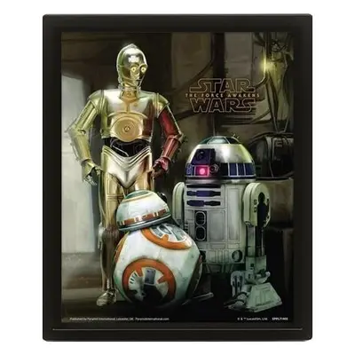 3D obraz Star Wars (Droids)