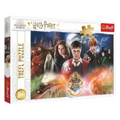 Puzzle Harry Potter - Tajemství Harryho Pottera 300 dílků