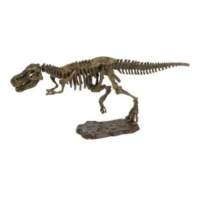 Archeologický set 3D Tyranosaurus