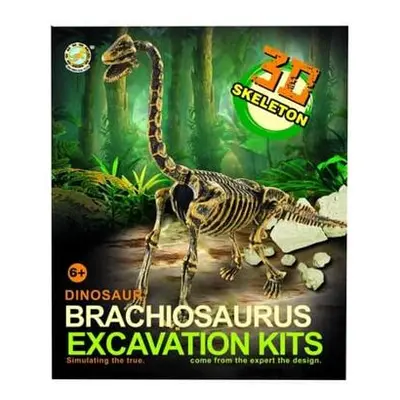 Archeologický set 3D Brachiosaurus