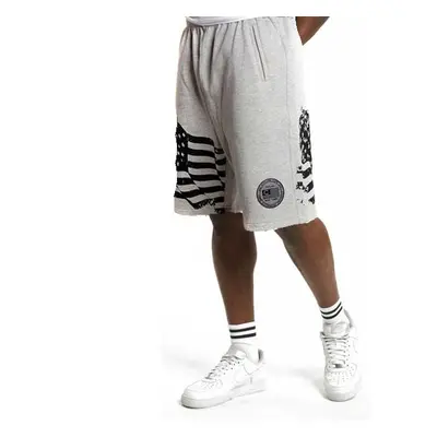 Teplákové šortky Cocaine Life US Fleece Short Grey Black