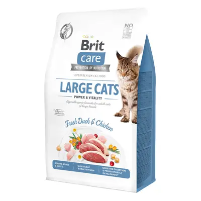 Brit Care Cat GF Large cats Power&Vitality 0,4kg