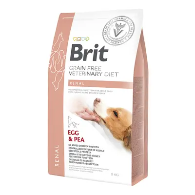 Brit VD Dog GF Renal 2 kg