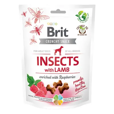 Brit Care dog crunchy crack. insec. lamb raspber 200 g