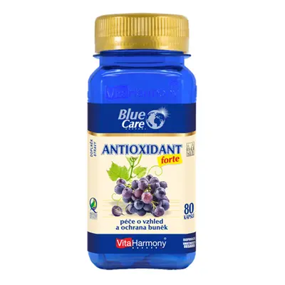 VitaHarmony Antioxidant forte 80 tablet