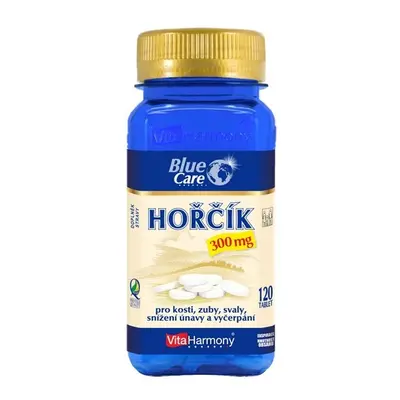 VitaHarmony Hořčík (300 mg) 120 tablet