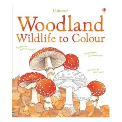 Woodland wildlife to colour