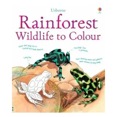 Rainforest wildlife to colour