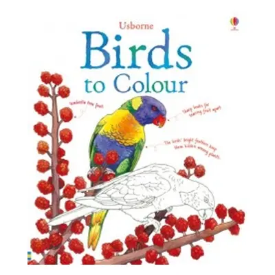 Birds to colour