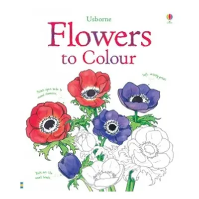 Flowers to colour